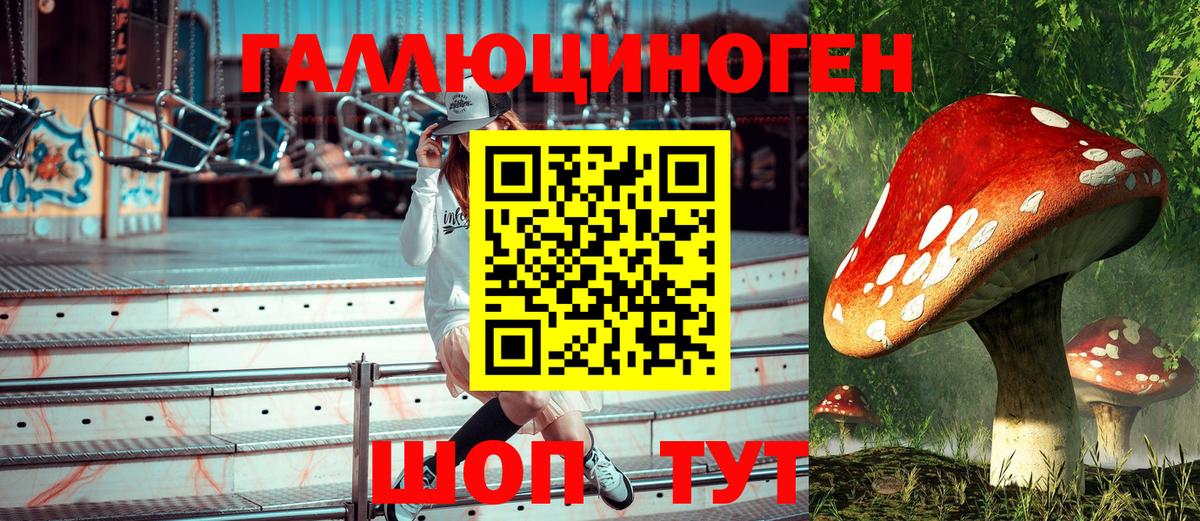 Галлюциногенные грибы Psilocybine cubensis  Вход с VPN  Кимры 